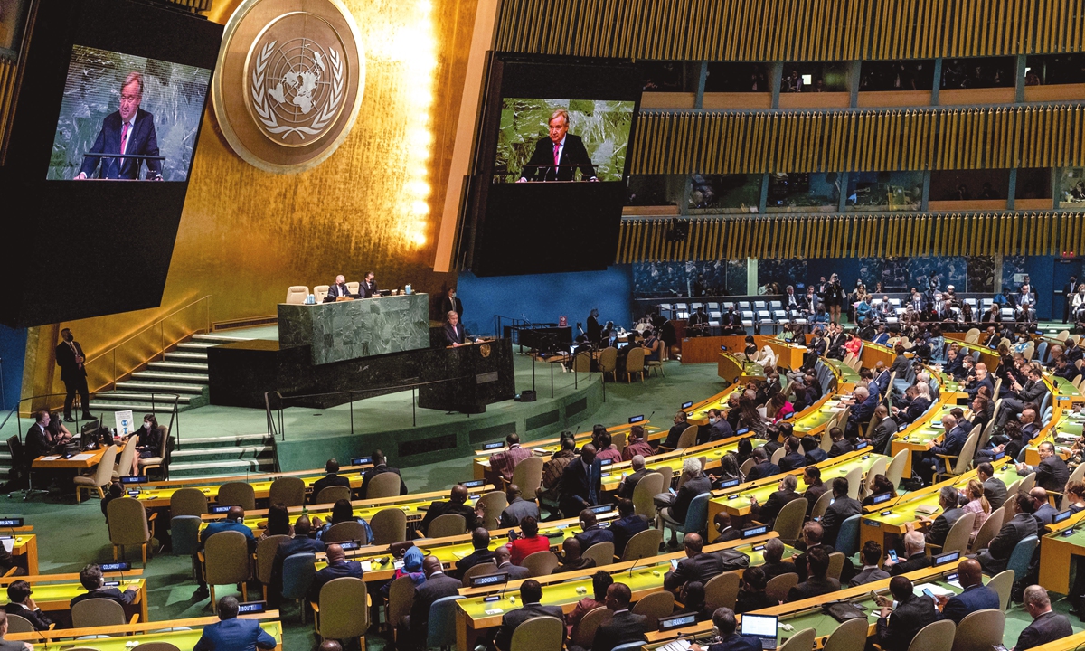 Picture of UN General Assembly 2024