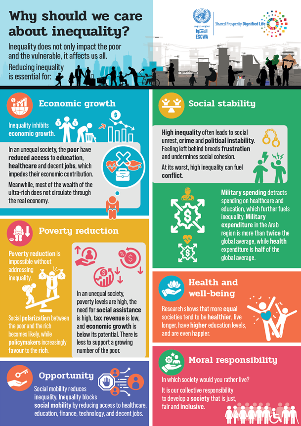 This is an infographic that presents the text above on why we should care about inequality